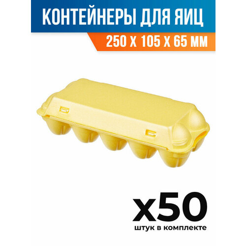 (50 шт.) - Контейнер-упаковка (лоток) для яиц, 250x105x65 мм, ВПС (ПОС27861_50)