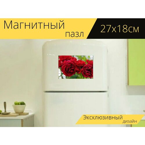 Магнитный пазл Розы, красный, цвести на холодильник 27 x 18 см. магнитный пазл розы букет из роз цвести на холодильник 27 x 18 см