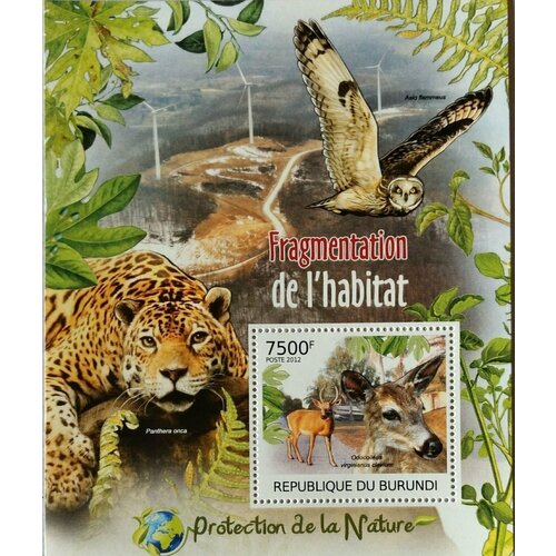Почтовые марки Бурунди 2012г. Защита природы - фрагментация среды обитания Фауна, Птицы MNH
