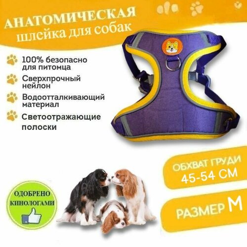 Шлейка для собак средних пород Xing Ning анатомическая обхват груди M (45-54 см), с поводком 148 см светоотражающая фиолетовая