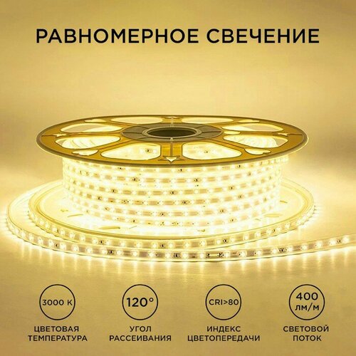 Apeyron electrics   Apeyron 220, 10x7 , SMD2835, 50 , IP65, 6 /, 60 LED/, 3000