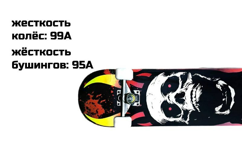 Скейтборд PRO RIDER 31x8 (череп)