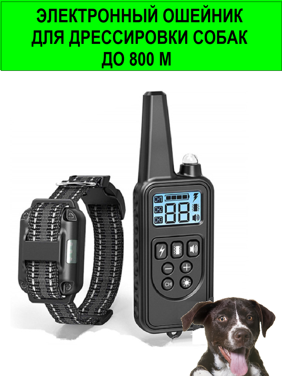 Электронный ошейник для дрессировки собак Petcomer P-880 черный