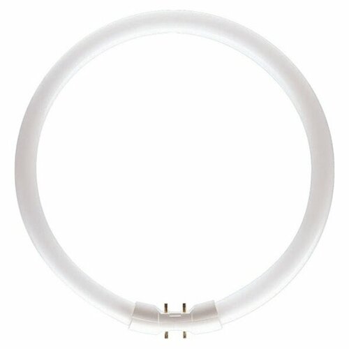 Лампа кольцевая люминесцентная 55W 2GX13 305mm