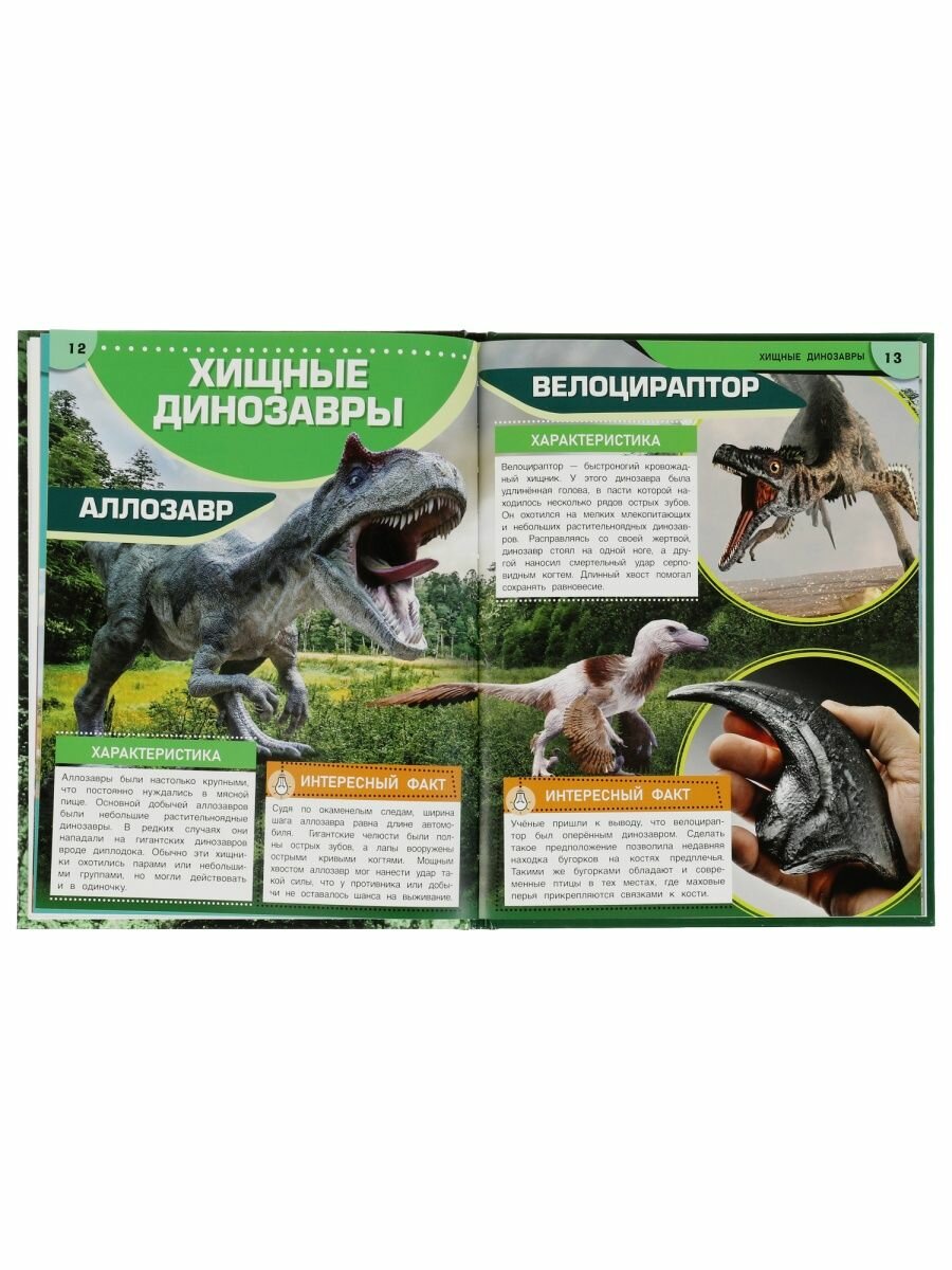 Динозавры. Древние гиганты. Энциклопедия - фото №9