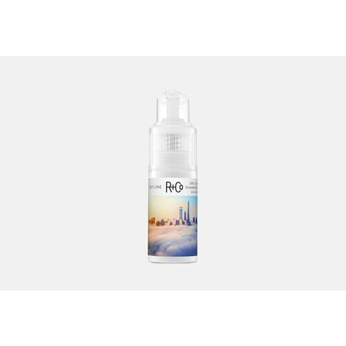 Пудра для волос R+CO Skyline Dry Shampoo Powder