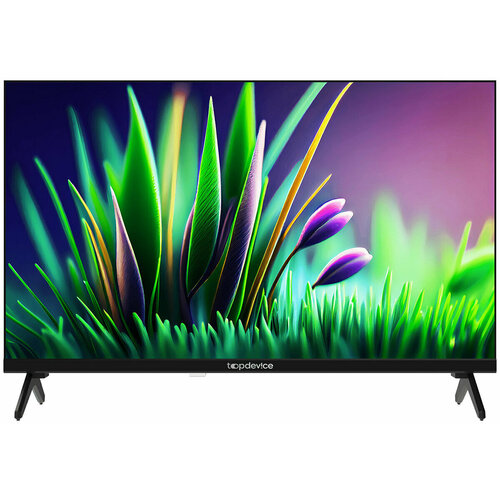 Телевизор Topdevice TDTV24CN04H_BK черный 1150600₽