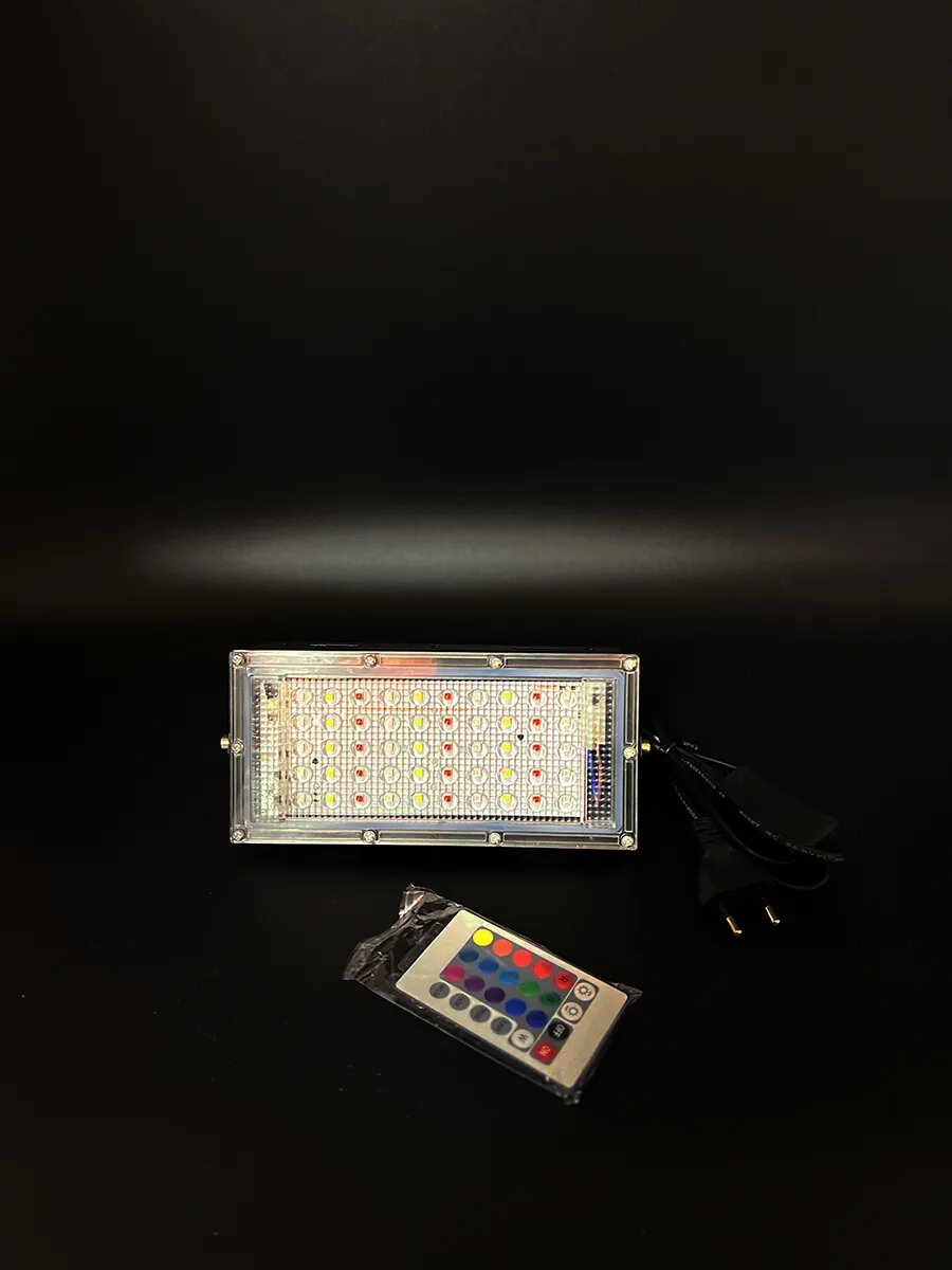 фото Прожектор 20220 (50W, с п/у)