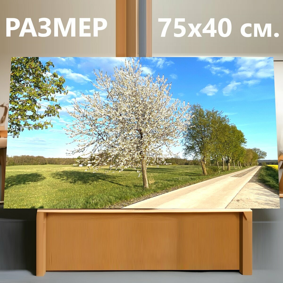 Картина на холсте "Вишневое дерево, природа, вишня в цвету" на подрамнике 75х40 см. для интерьера