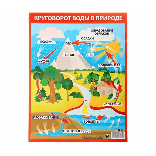 Плакат Круговорот воды в природе А2