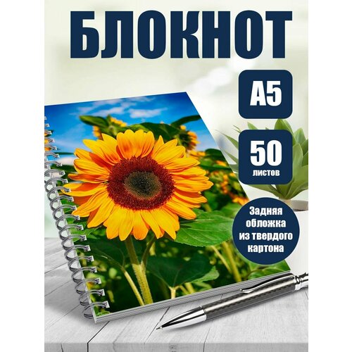 Тетрадь 50 листов в клетку Подсолнуха 446₽