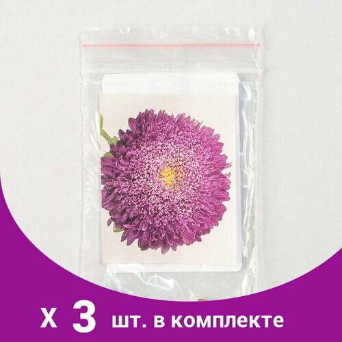 Семена цветов Астра 'Бенари Принцесс', Блю, Benary, 10 шт (3 шт)