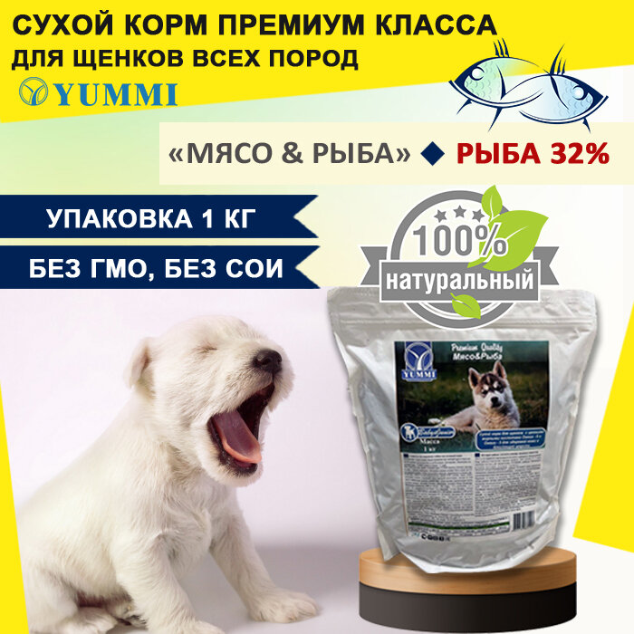 Сухой корм для щенков премиум класса YUMMI (Юмми) Premium Мясо & Рыба 1 кг
