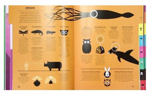 Царство животных — фото 1