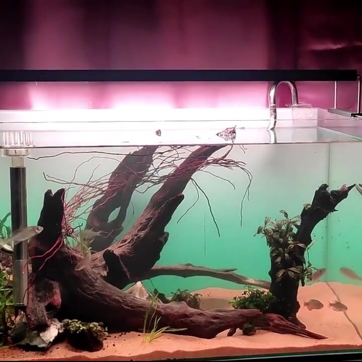 Фон для аквариума 3D вулкан черный 30x60cm 12x24in — фото 1