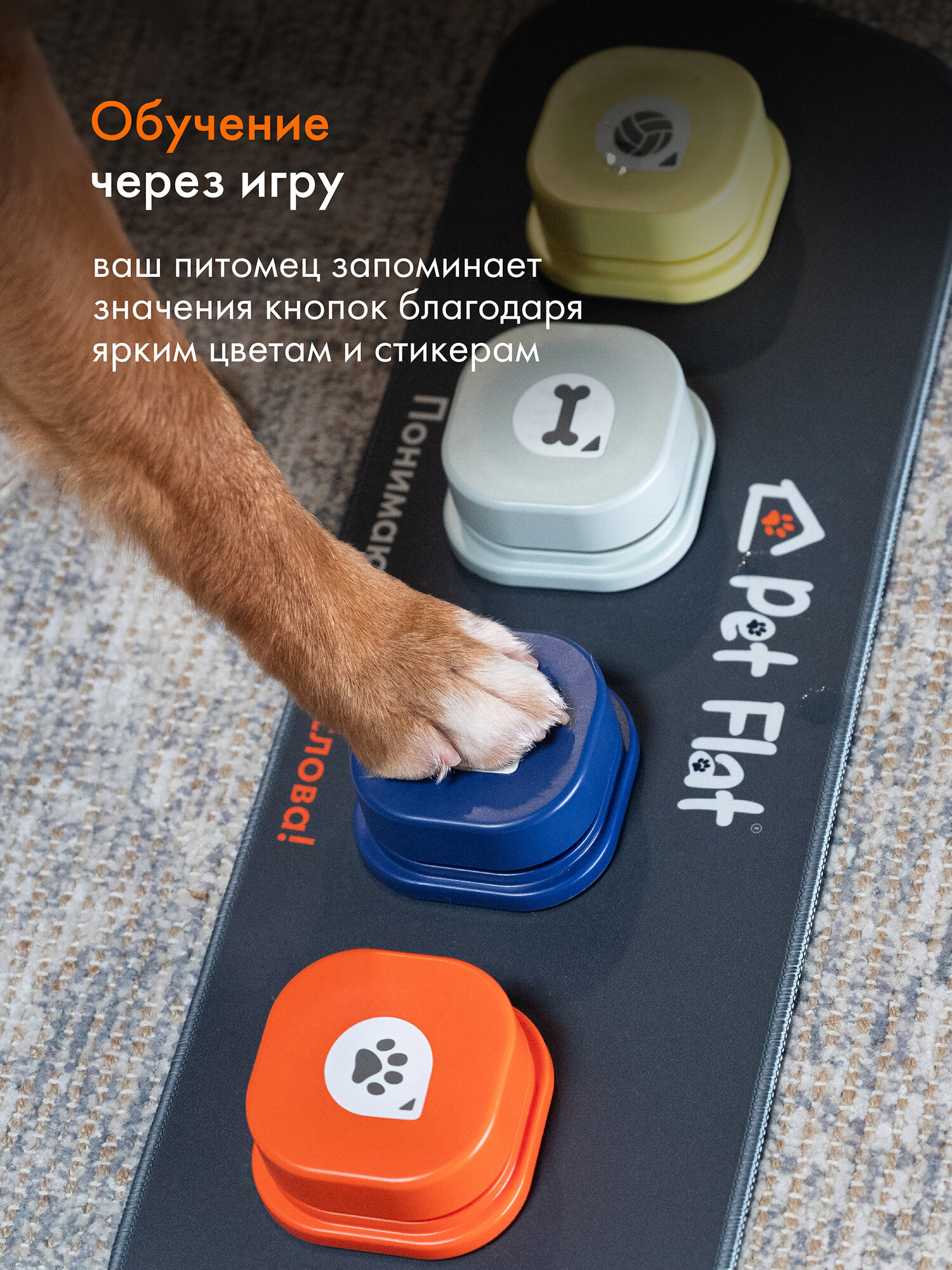 Изображение Интерактивная панель для собак Magic Tap звуковые кнопки Pet Flat