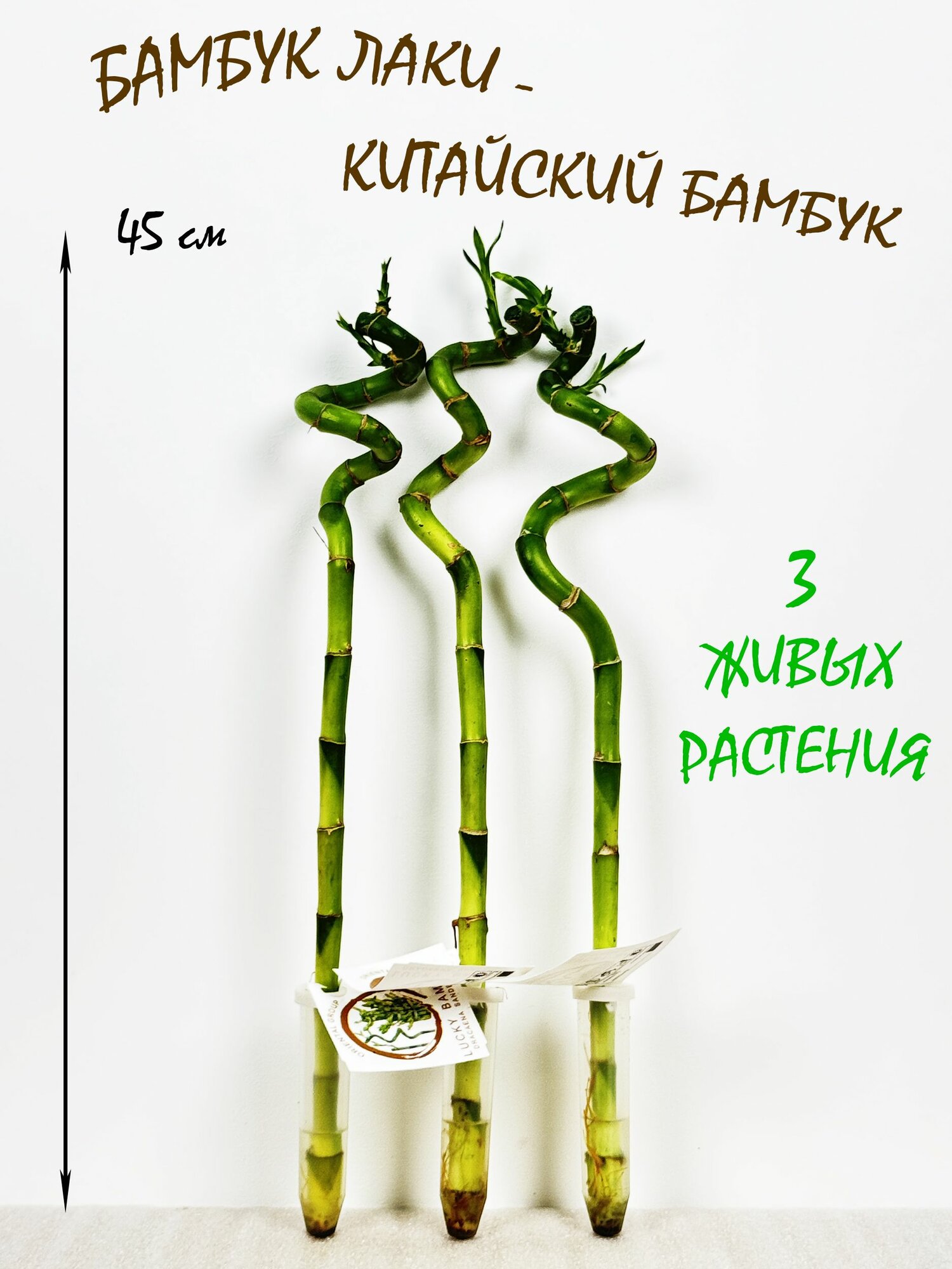 Бамбук Лаки спираль 3шт высота 45-50см
