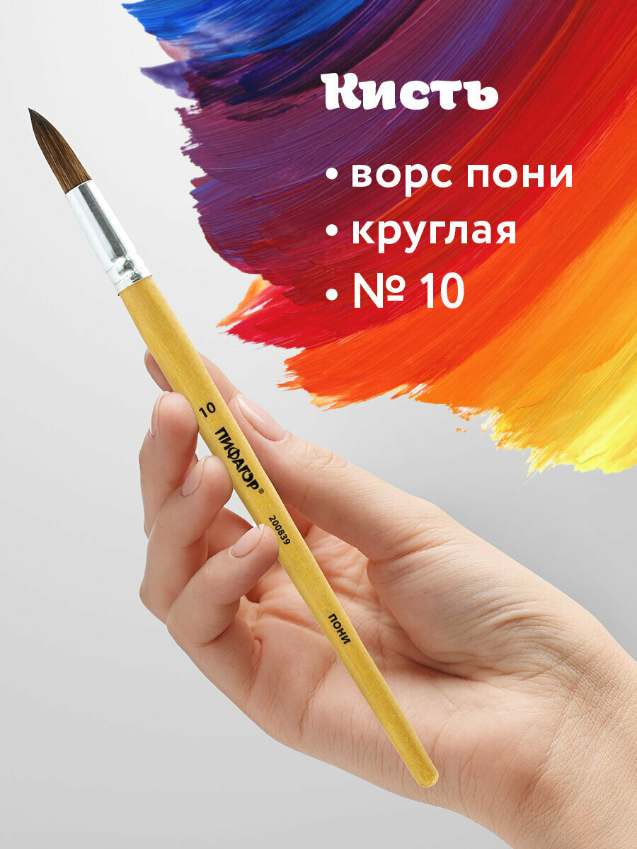 Кисть / кисточка для рисования Пифагор, пони, круглая, № 10, деревянная лакированная ручка, колпачок, пакет с европодвесом, 200839
