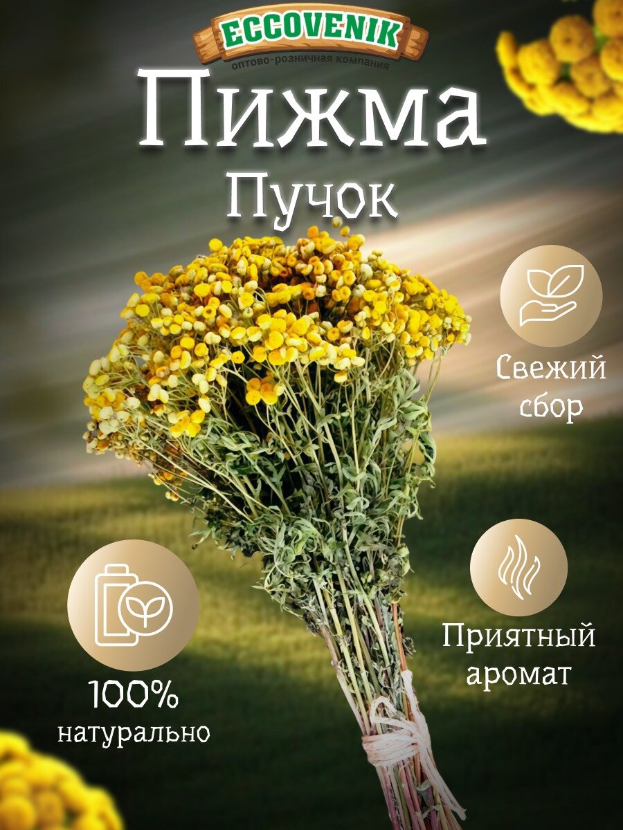 Веник для бани Пижма Пучок русская баня сладко медовый запах