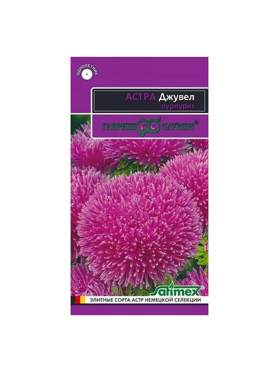 Семена Астра Джувел Пурпурит игольчато-коготковая однолетник Гавриш - Эксклюзив 1 пачка - 0.1г семян