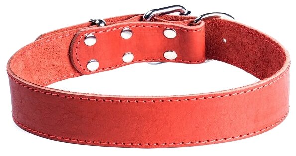 Ошейник кожаный для собак GRIPALLE Дакс , натуральная кожа, стальная фурнитура, размер: ширина 25 мм, длина 35 см, цвет красный, - фотография № 2