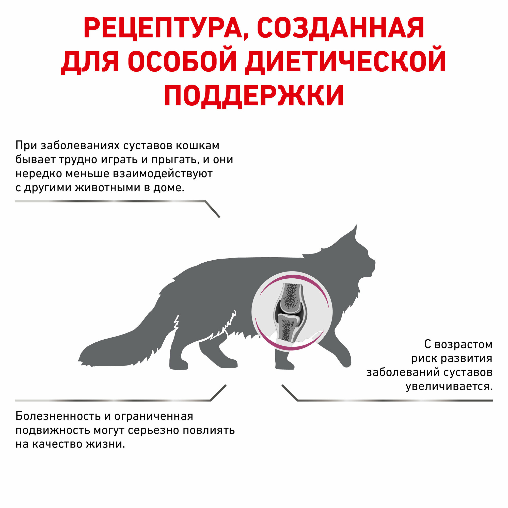 Корм для кошек ROYAL CANIN - фото №6