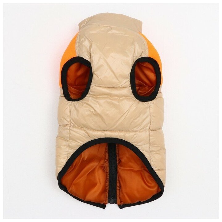 Куртка для собак на молнии, размер 16 (ДС 36 см, ОГ 46 см, ОШ 35 см), бежевая с оранжевым - фотография № 6