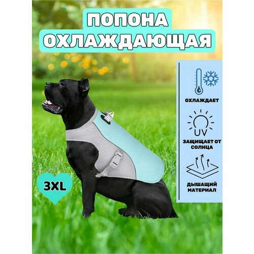 Охлаждающий жилет попона для собак крупных пород, голубой, 3XL