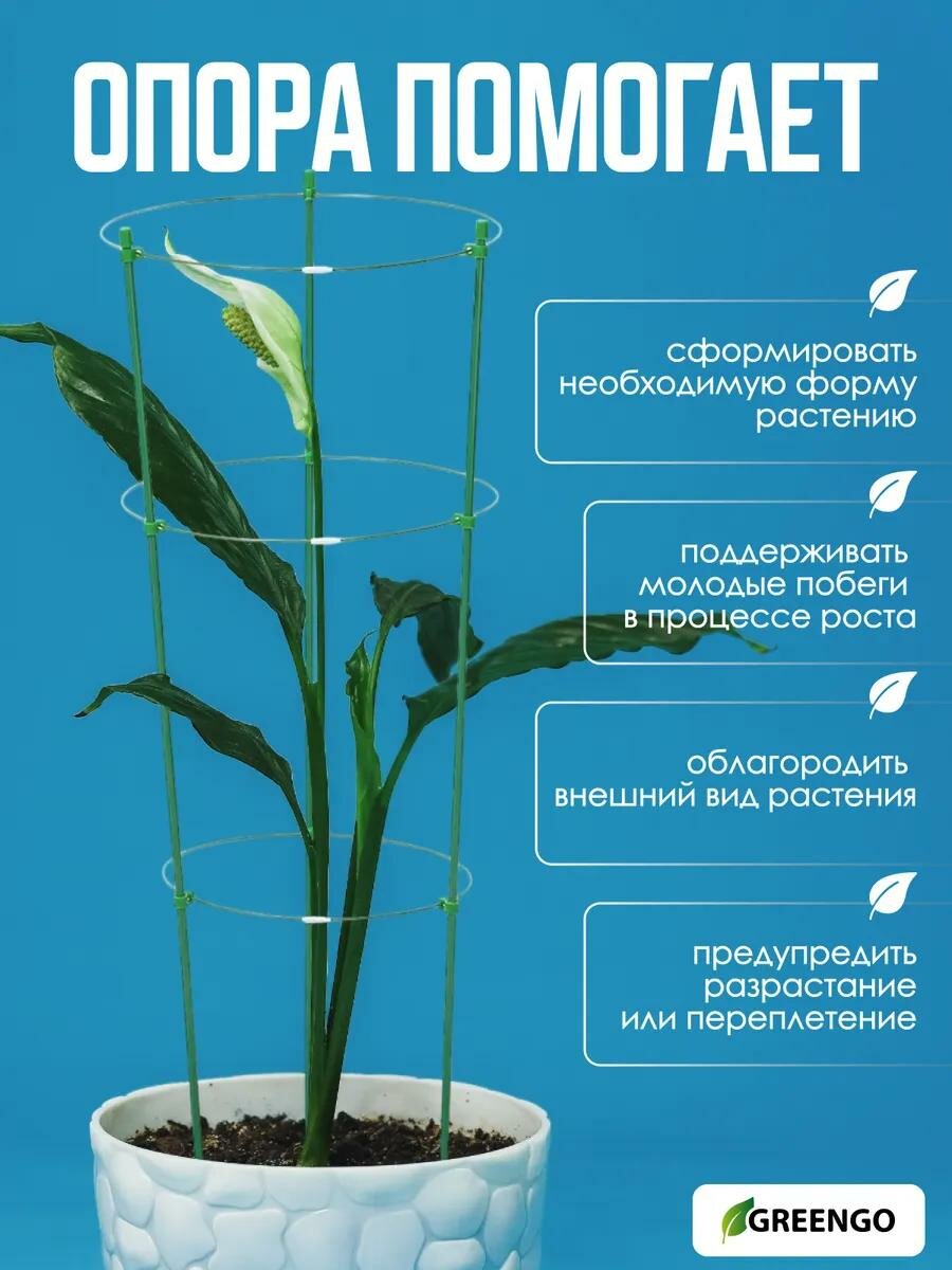Кустодержатель для цветов "Greengo" d = 22–26–28 см, h = 75 см, 3 кольца, металл, зелёный — фото 1