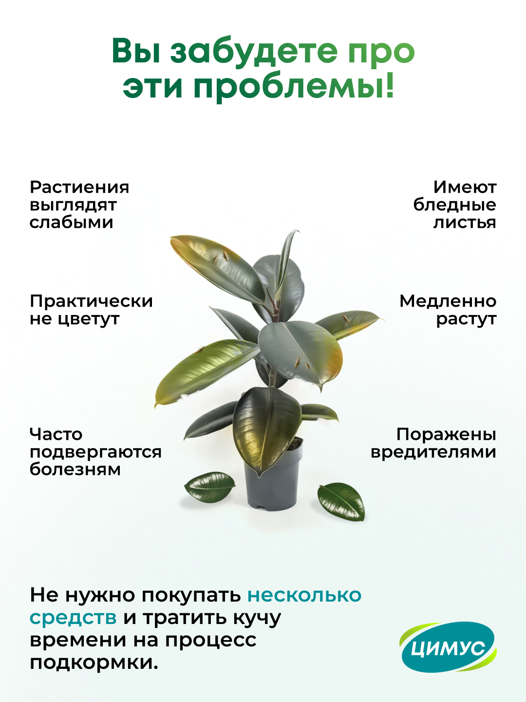Удобрение для комнатных цветов и растений ЦИМУС, 100% органика +цеолит, 250 г — фото 1