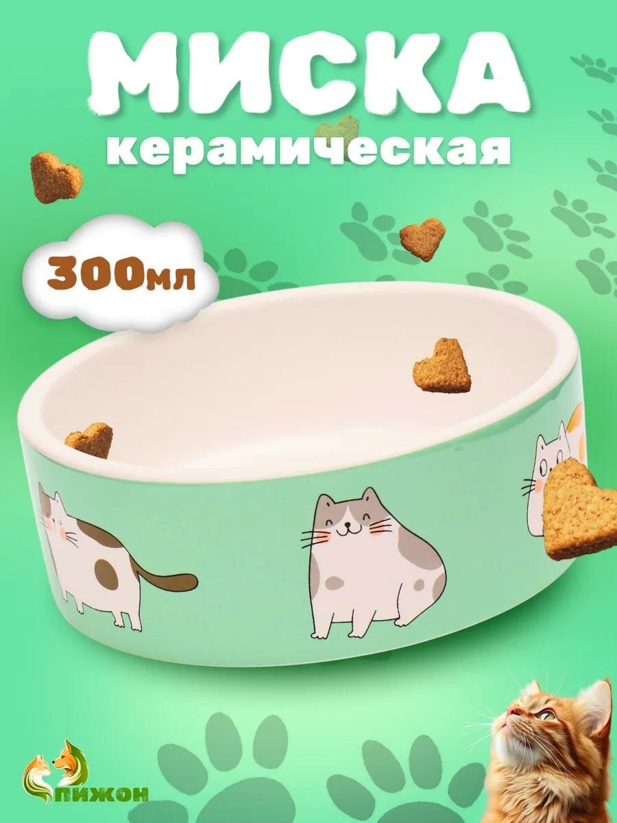 Миска керамическая "Котяры", 300 мл 12,5 x 4,5 cм, зелёная/белая