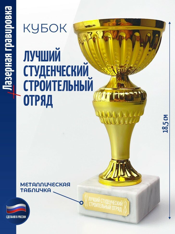 Кубок "Лучший студенческий строительный отряд" (18,4 см)