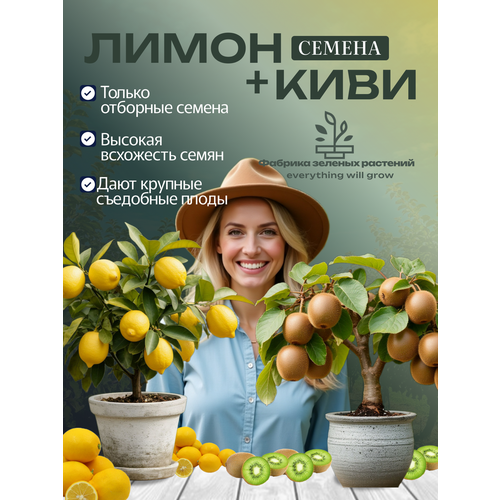фото Домашний лимон семена + киви семена green foods corporation