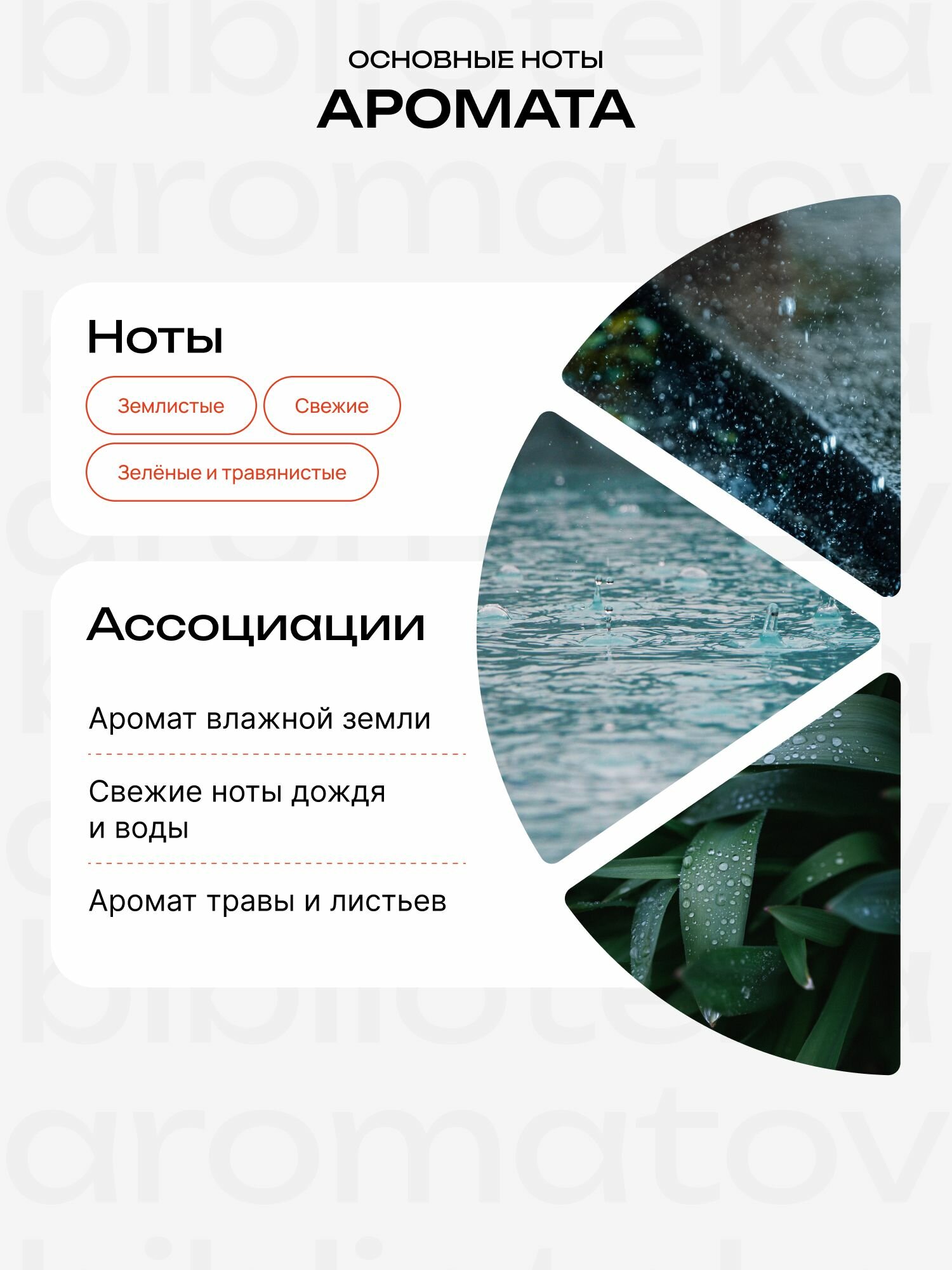 Demeter Fragrance Library (Деметер) Земля после ливня "Petrichor" Туалетная вода 30 мл, библиотека ароматов — фото 1