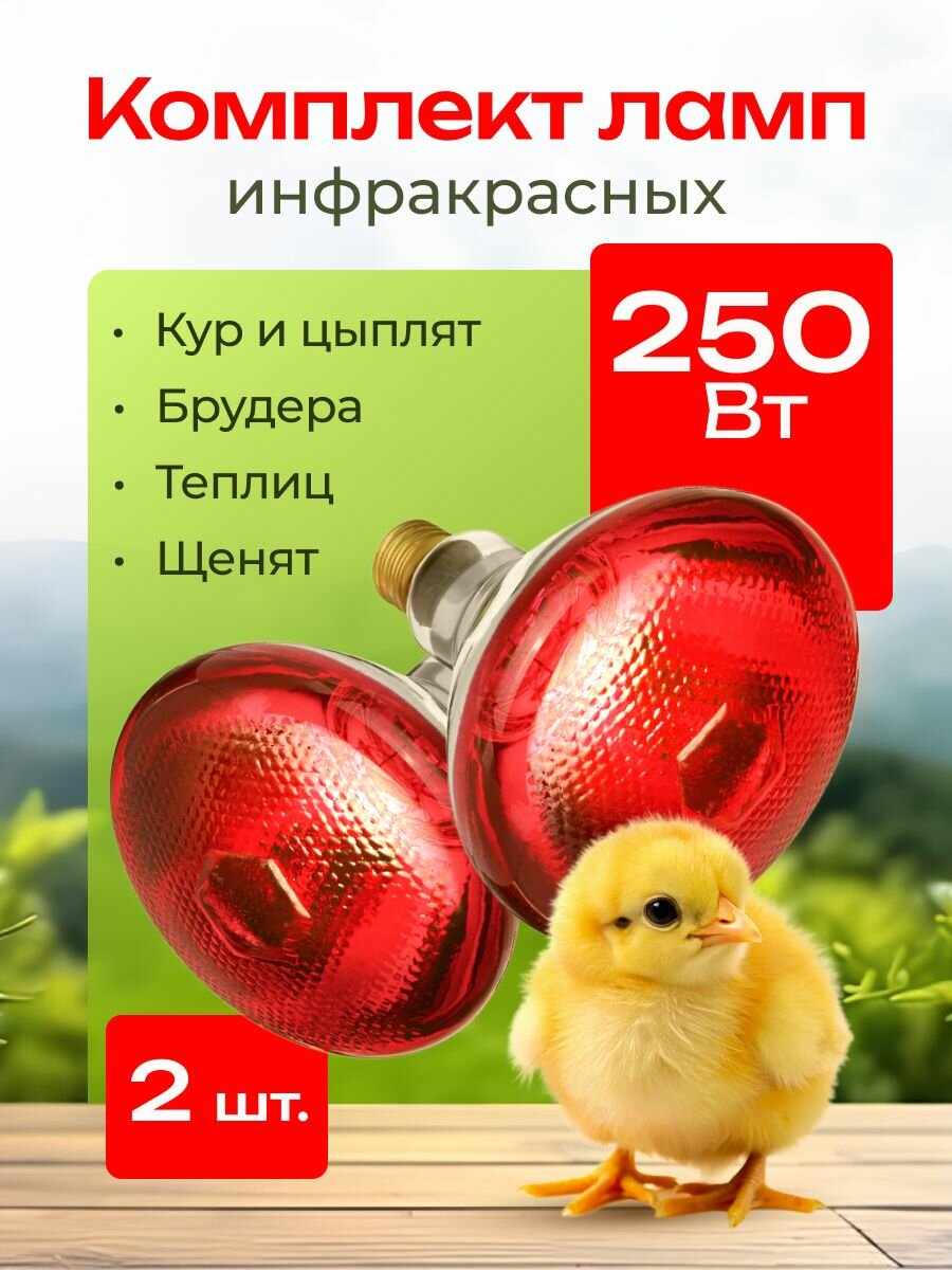 Лампа инфракрасная 250Вт Е27 - 2 шт для обогрева кур щенков цыплят свиней курятника брудера/ Лампочка галогенная для животных растений и теплиц