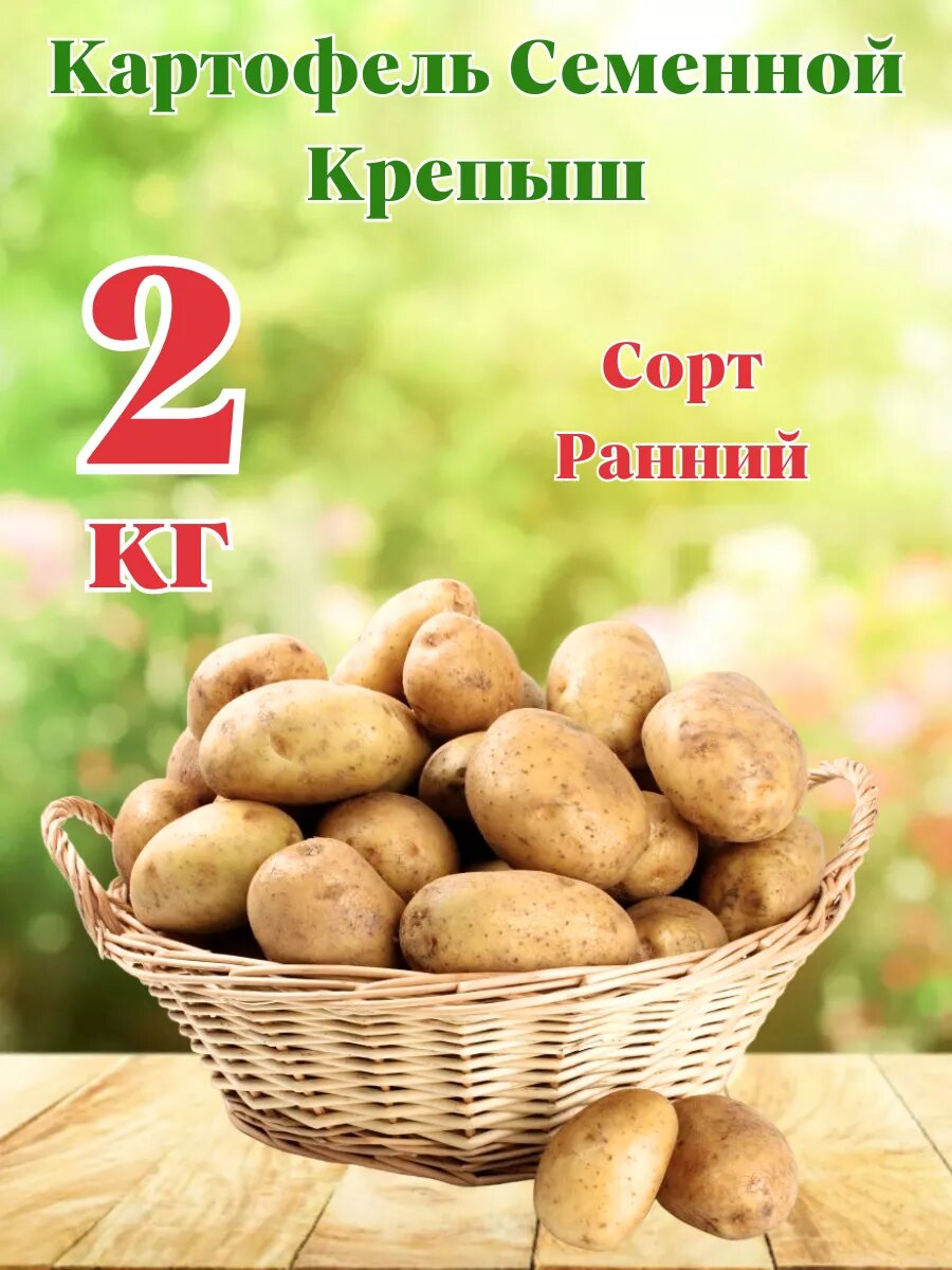 Картофель Семенной Крепыш 2 кг