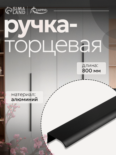 Изображение товара Ручка профильная мебельная торцевая CAPPIO "RT002BL" длина 800 мм, м/о 768 мм, цвет чёрный