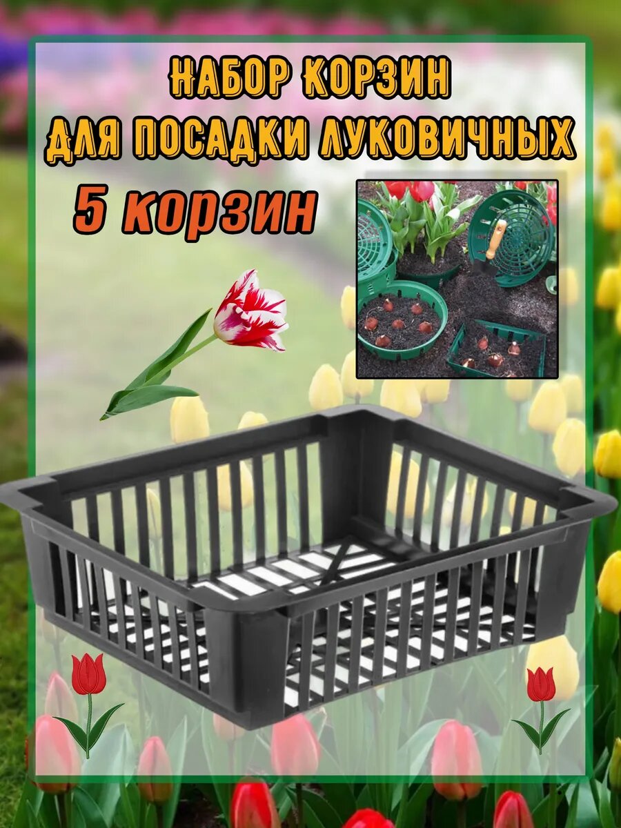 Корзина для луковичных растений и выращивания бабочек 30х25х7см набор 5 шт черный