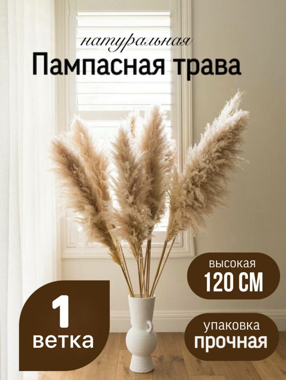 Сухоцветы для декора и интерьера Пампасная трава (Кортадерия) высокая.