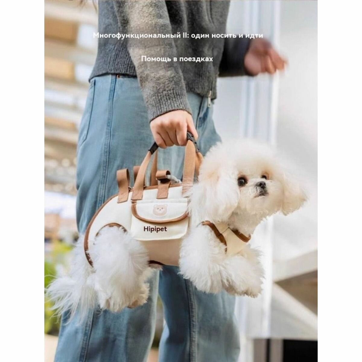 Переноска chenchen