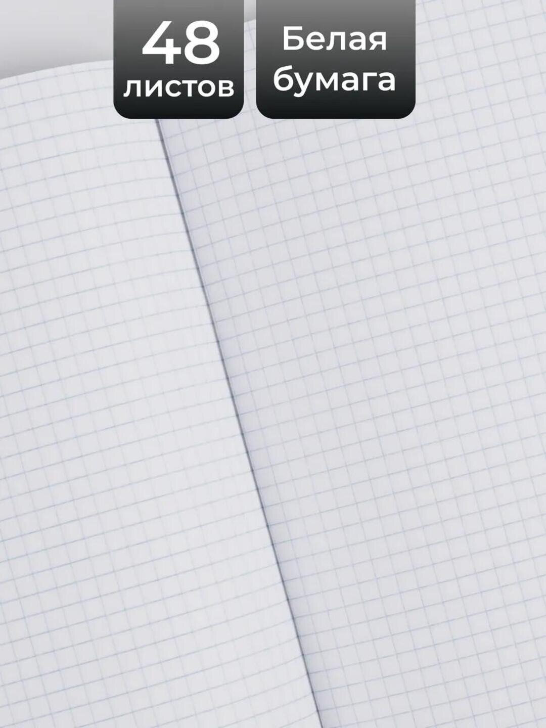 Комплект тетрадей, А5, 48 листов, 5 шт, в клетку, для девочек — фото 1