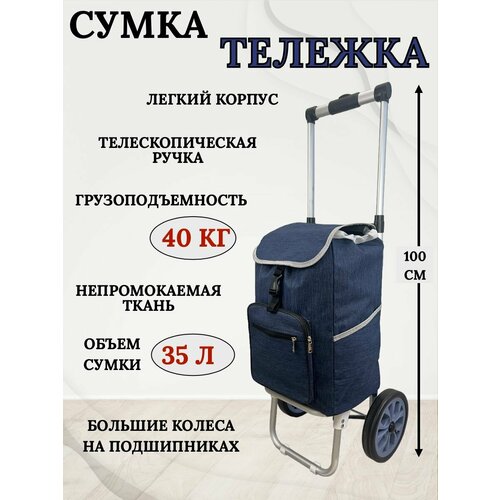 фото Сумка дорожная , синий