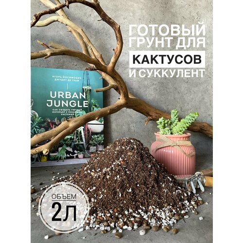 фото Готовый грунт для суккулентов и кактусов terracotta plants с биогумус 2 литра