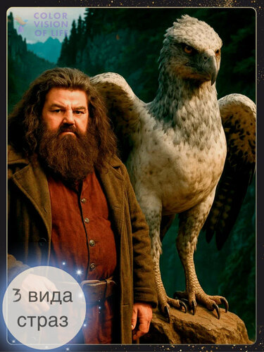 Изображение товара Алмазная мозаика "Хагрид и Клювокрыл", Гарри Поттер, 40x50, 31 цвет, с подрамником