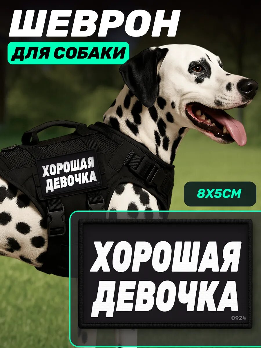 Шеврон на липучке для собак Хорошая девочка