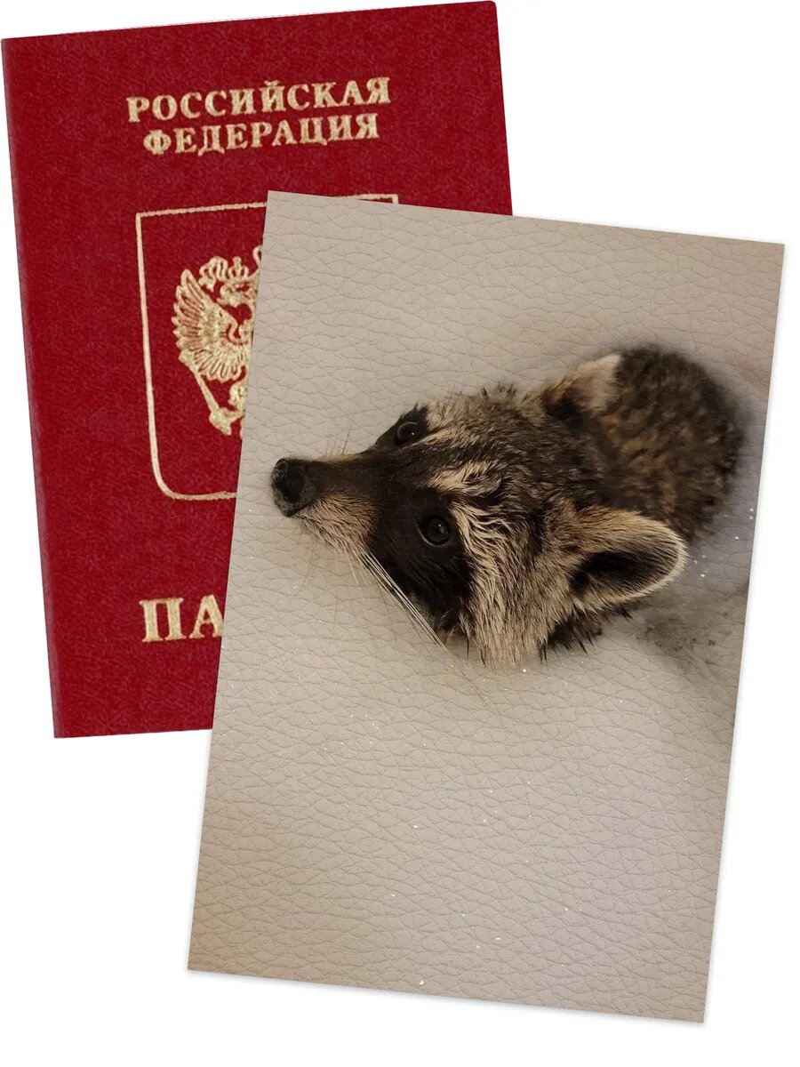 Обложка для паспорта