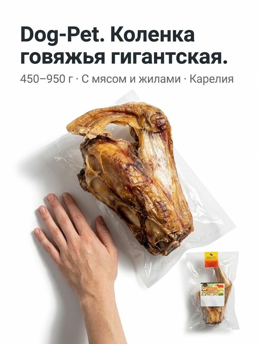 Коленка говяжья гигантская для собак Dog-Pet Долгоиграющее лакомство с мясом и жилами Кость для зубов и суставов 450-950 г Карелия