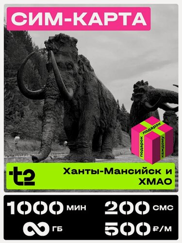 Изображение товара Сим карта теле 2 с безлимитным интернетом. t2 SIM-карта тариф Партнер М хмао. 1000 минут за 500 рублей в месяц.