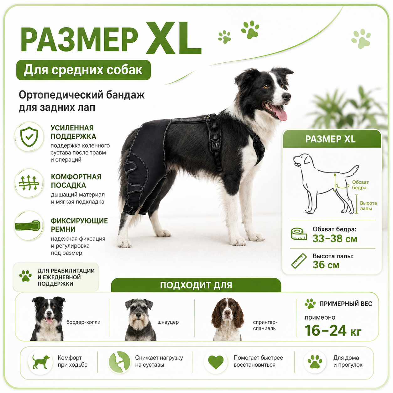 Ортопедический бандаж для задних лап собак размер XL, усиленная фиксация суставов, после травм и операций, дышащий, регулируемый