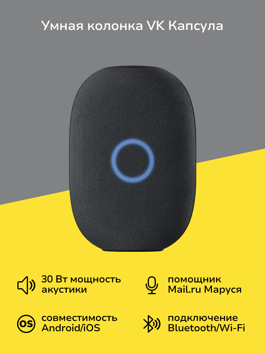 Умная колонка VK Капсула с голосовым помощником Марусей черная